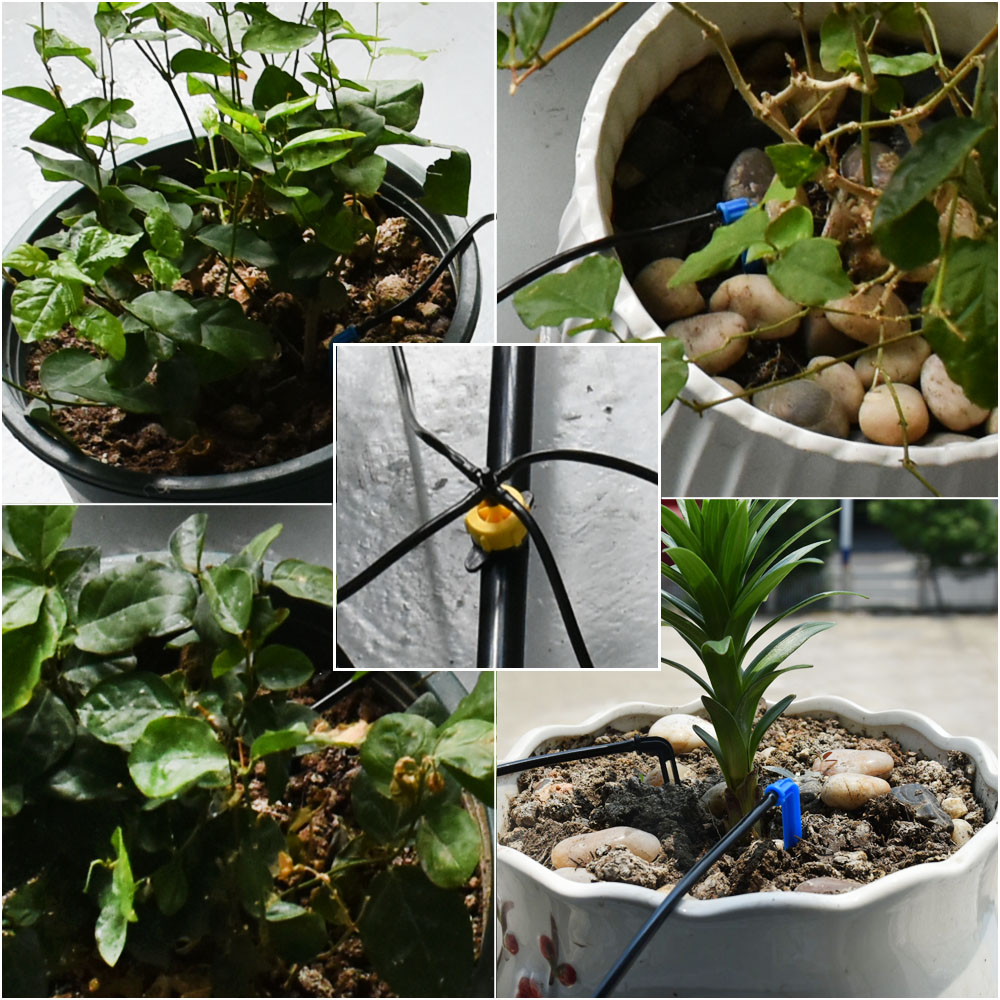เรือนกระจกกระถางโค้งลูกศรหยดชล - Urban Farming System บทวิจารณ์และราคา